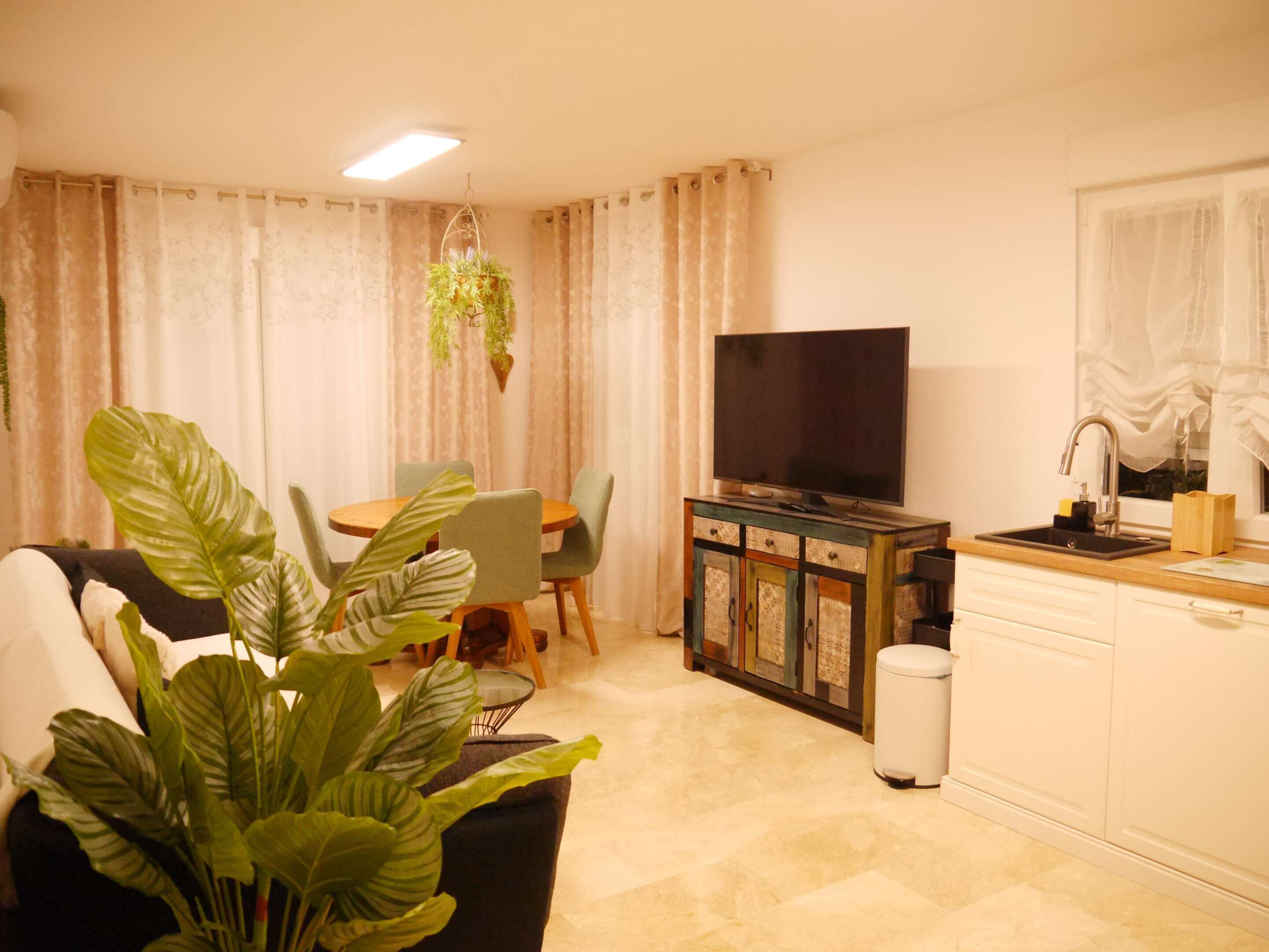 Una sala de estar con una mesa de comedor, sillas, un televisor, un mueble y una planta en maceta.
