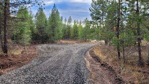 A gravel road surrounded by dense pine trees. - Remote RV site w/o hookups. Perfect for campers under 30 feet. Site C. (Deary)