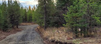 Remote RV site w/o hookups. Perfect for campers under 30 feet. Site C.