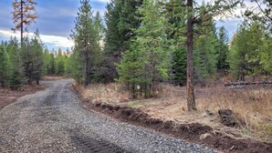 A gravel road winding through a forest with tall pine trees. - Remote RV site w/o hookups. Perfect for campers under 30 feet. Site C. (Deary)