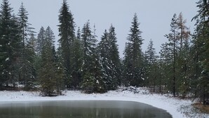 A snow-covered landscape with a frozen pond, surrounded by evergreen trees. - Remote RV site w/o hookups. Perfect for campers under 30 feet. Site C. (Deary)