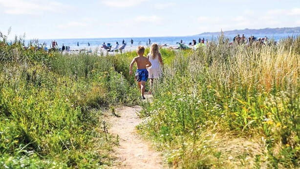 A pathway leading to a beach with people in the background. - 6 Person Holiday Park Home in Skagen (Skagen)