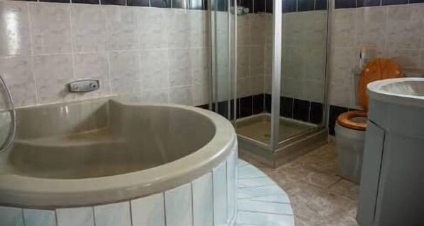 Soap, shampoo, toilet paper - THE HAVEN GUEST HOUSE THEMBELIHLE  (Mbabane)