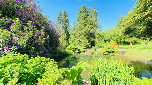 A serene garden with a pond, lush greenery, and flowering plants. - Georgian Country House Secluded in 4 Acres, Hot Tubs & 8 Large En-Suite Bedrooms (Kentisbury)