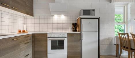 KĂŒhlschrank, Mikrowelle, Herdplatte, GeschirrspĂŒler