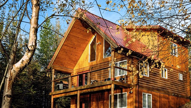 A log cabin with a balcony and a metal roof, surrounded by trees and fallen leaves. - Cozy lakefront cabin on Big Beaver Lake (Big Lake)