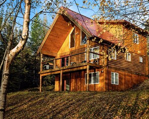 A log cabin with a balcony and a metal roof, surrounded by trees and fallen leaves. - Cozy lakefront cabin on Big Beaver Lake (Big Lake)
