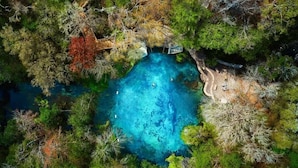 An aerial view of a clear blue pool surrounded by dense foliage. - Pet-Friendly Family Home w/ Yard (Gainesville)