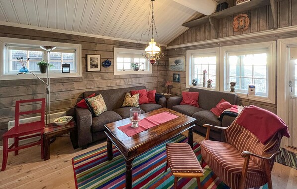 Télévision, cheminée, lecteur de DVD