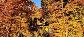 Spacious Family-Friendly Bright New House