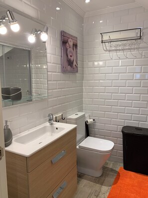 Douche, séchoir à cheveux, serviettes fournies, savon