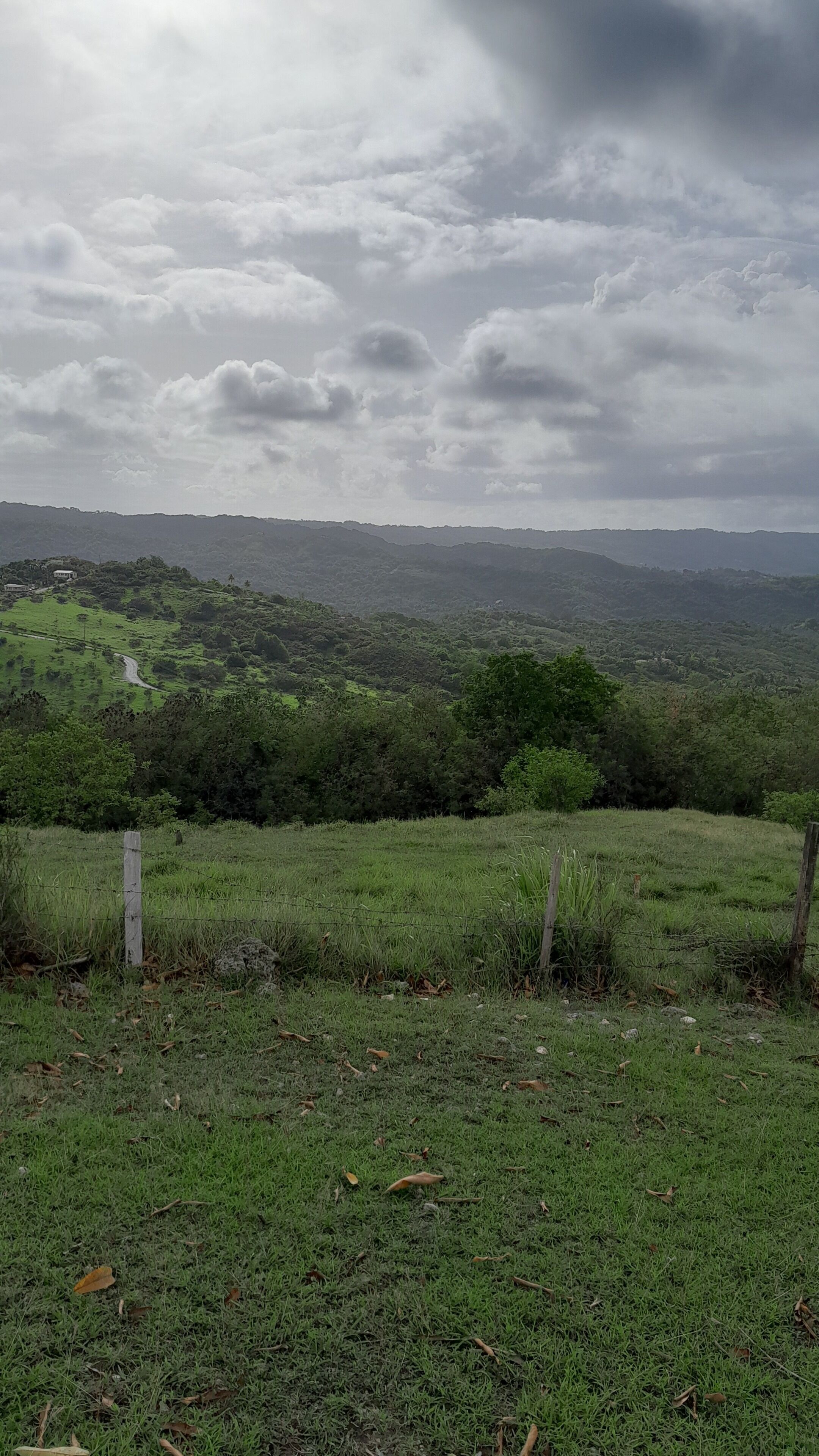 A grassy field with a fence, trees, and a cloudy sky.