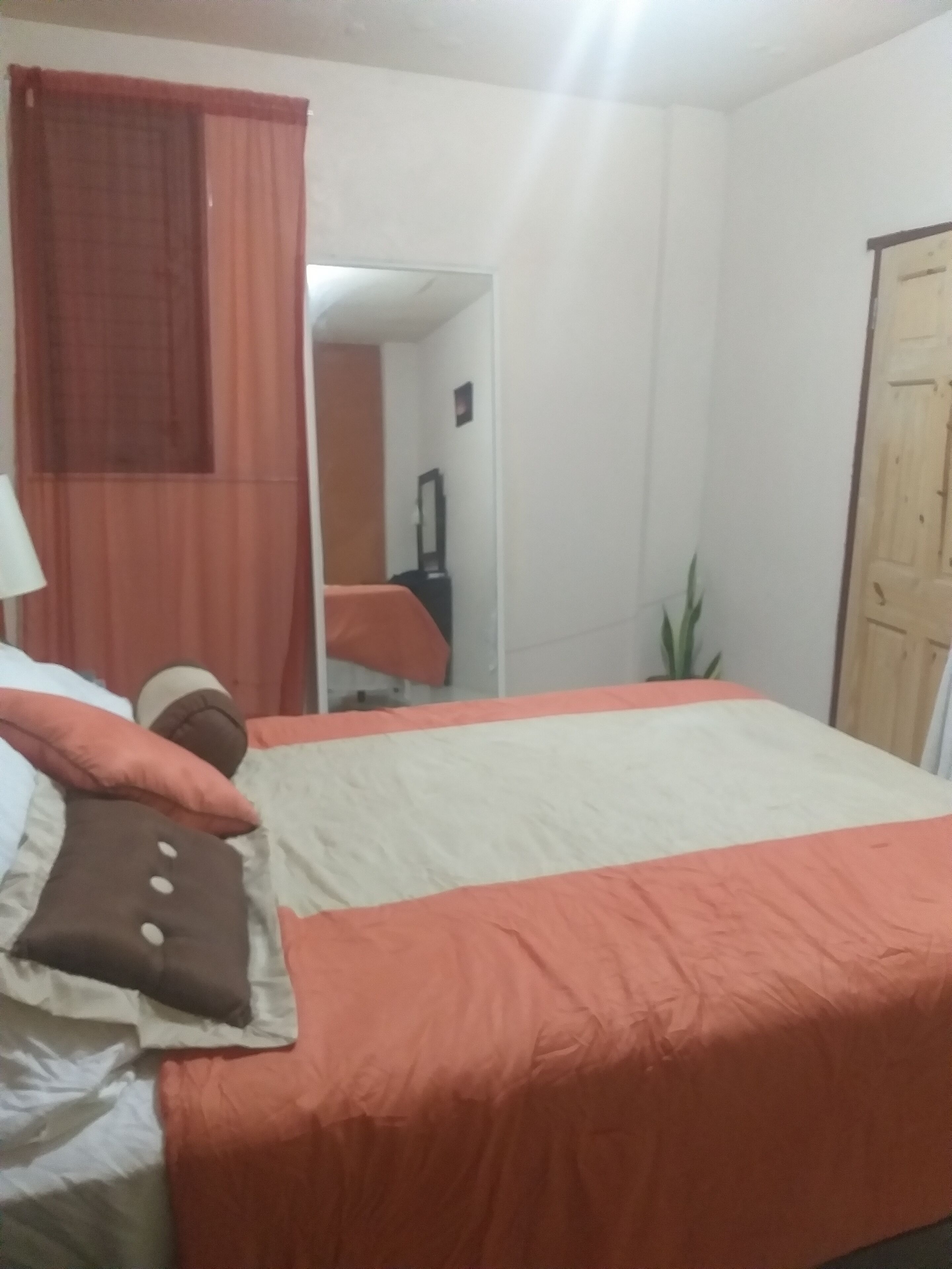 Une chambre d’hôtel avec un lit, un miroir, une porte et une plante.