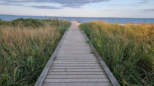 Une promenade en bois menant à la mer, bordée de hautes herbes.