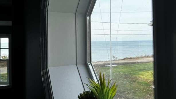 Una ventana con vista al mar, una planta en maceta y una pared blanca.