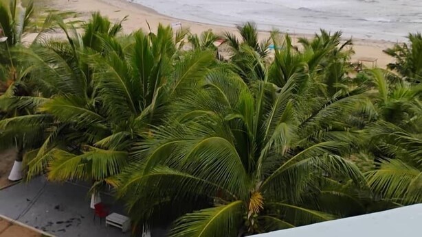 Uitzicht op een strand met palmbomen en een zandstrand.