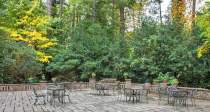 Biltmore | Asheville Downtown