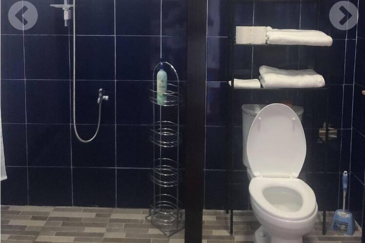 A bathroom with a shower, toilet, and towel rack.