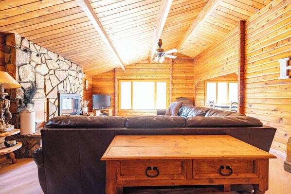 Smart TV, fireplace, DVD player, books