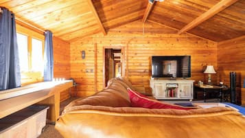 Smart TV, fireplace, DVD player, books