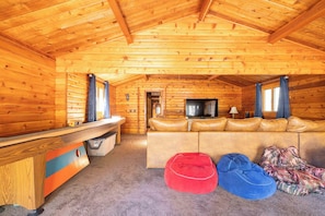 Smart TV, fireplace, DVD player, books
