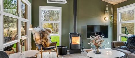 TV, fireplace
