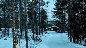 Una cabaña en un bosque nevado con un sendero cubierto de nieve que lleva a ella.