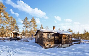 Ulkopuoli