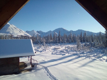 View from property. Igloo City Cabin Rentals #1 Charming Cabin in Broad Pass at the Igloo Property