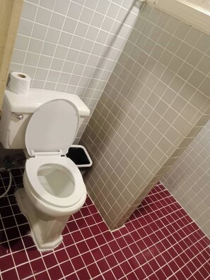 Habitación con 2 camas individuales | Baño | Ducha, secador de pelo, toallas y jabón