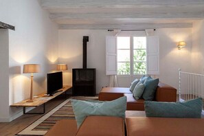 TV connectée, cheminée, lecteur de DVD, livres