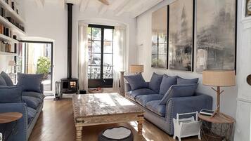 TV connectée, cheminée, lecteur de DVD, livres