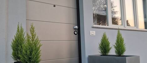 Detalle del exterior