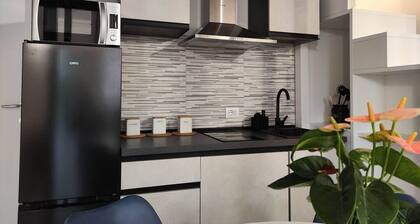 Apartment Loft Design Milan near the Forum