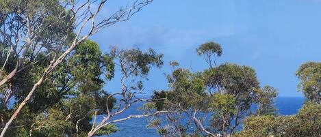 Vue depuis l’hébergement