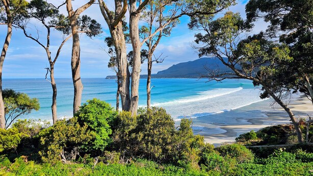 A coastal landscape with trees, a beach, and a mountain in the distance. - Lufra Beachside Hotel (Eaglehawk Neck)