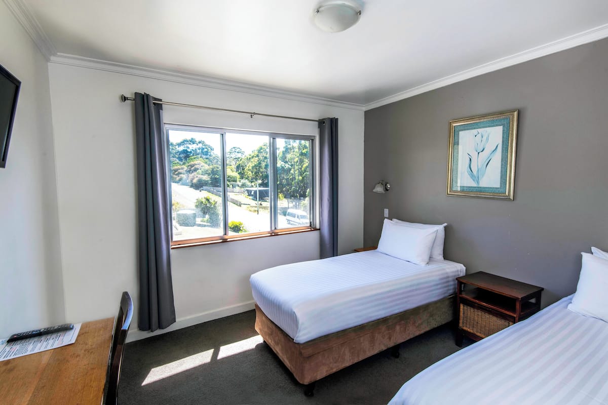 Classic Twin Room with Mountain View | Free WiFi, bed sheets
