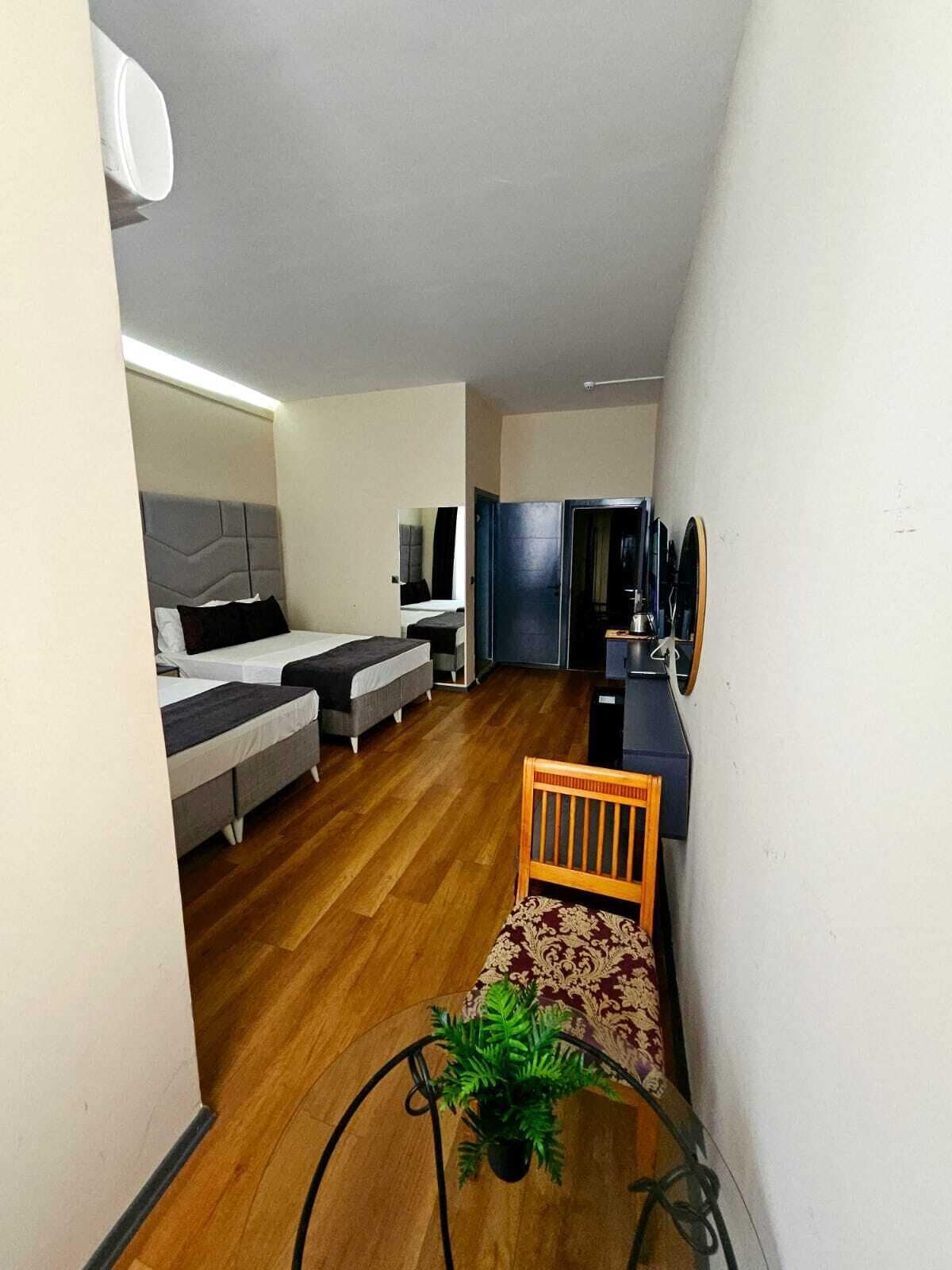 A compact hotel room with two beds, a small kitchenette, a wooden chair, and a potted plant.