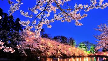 Una vista tranquilla lungo il fiume, con fiori di ciliegio e un edificio tradizionale.