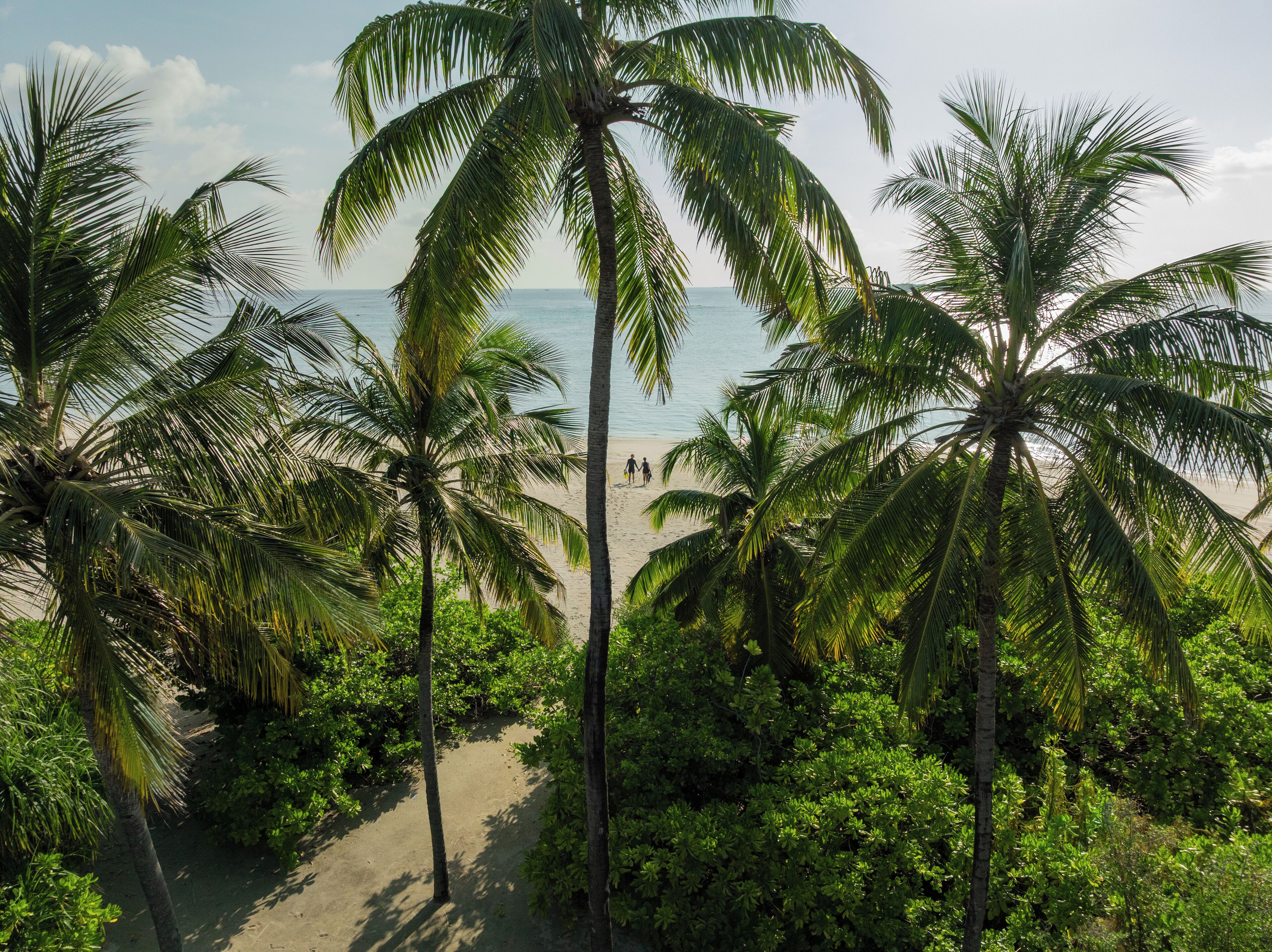 Artículos del minibar gratis y caja de seguridad en la habitación 