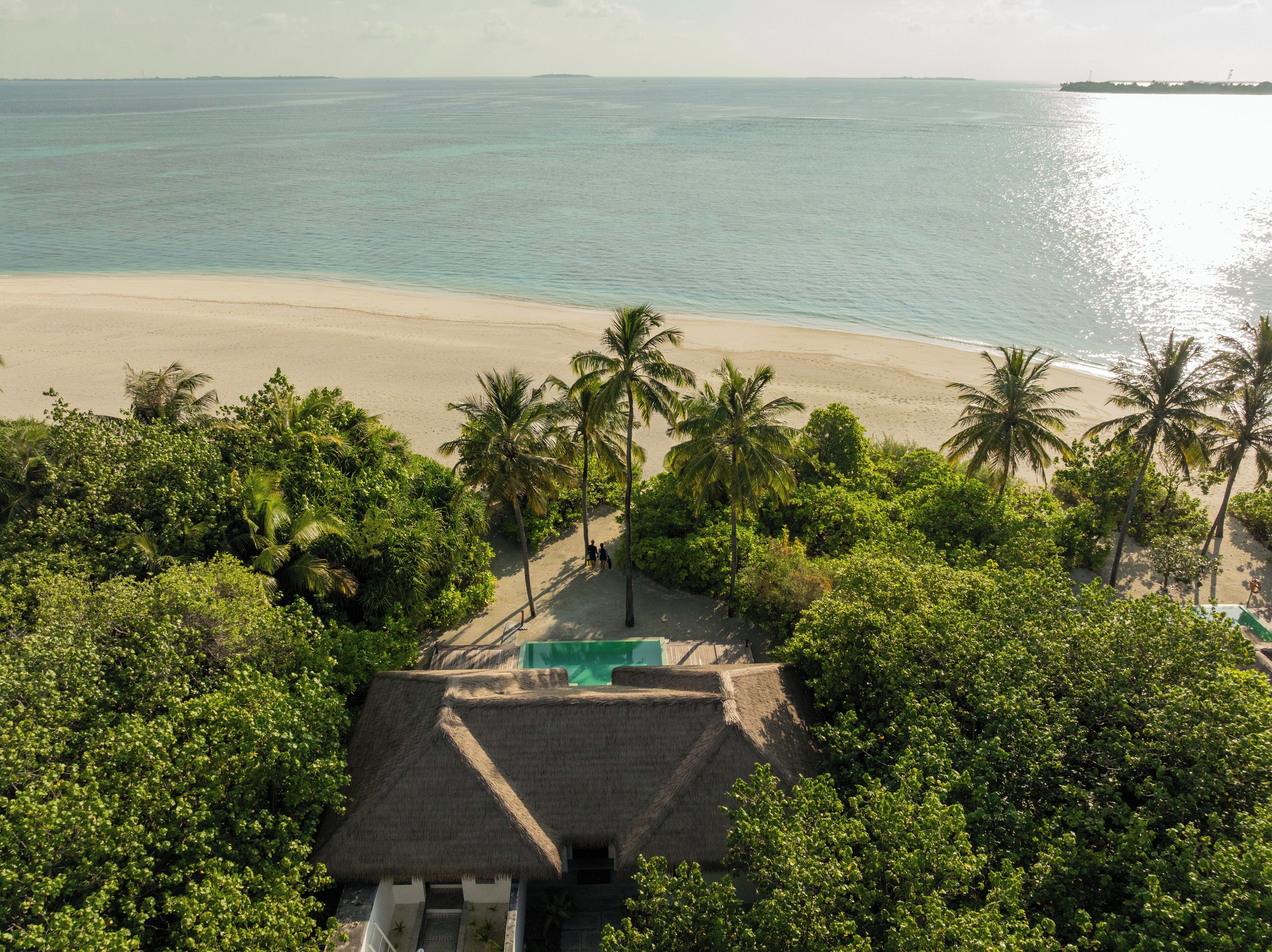 A beach view with a thatched-roof structure, palm trees, and a clear ocean.