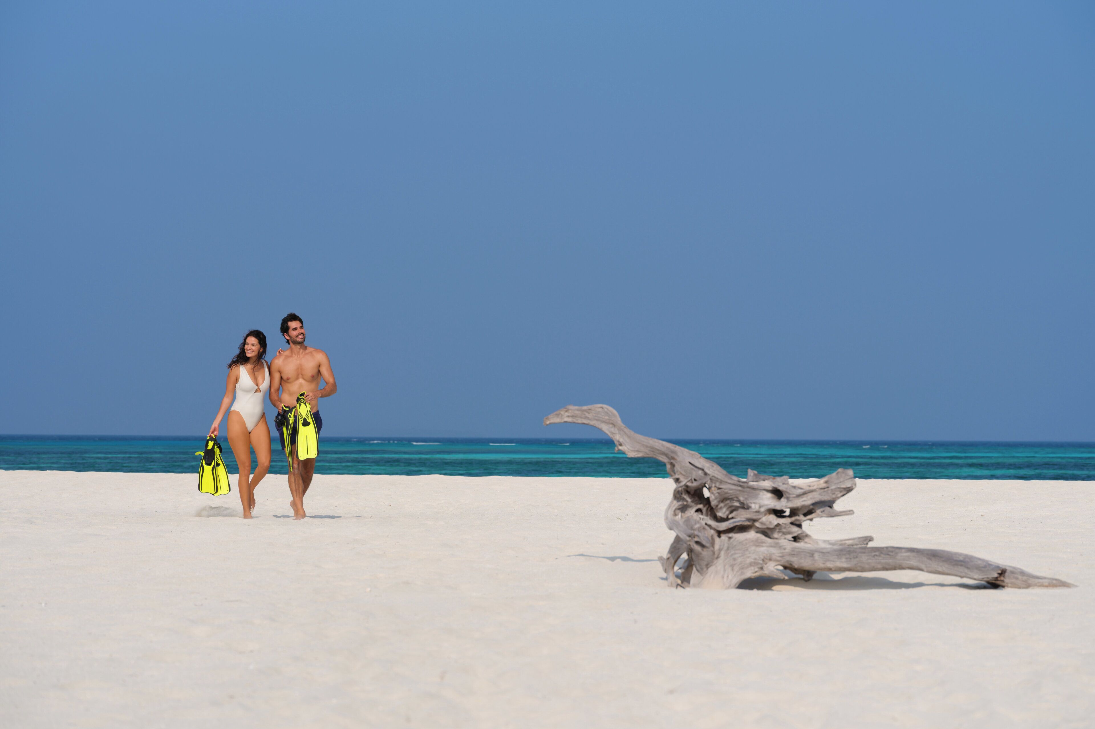 Una playa con un elemento decorativo de madera a la orilla, cielo azul despejado y mar tranquilo.