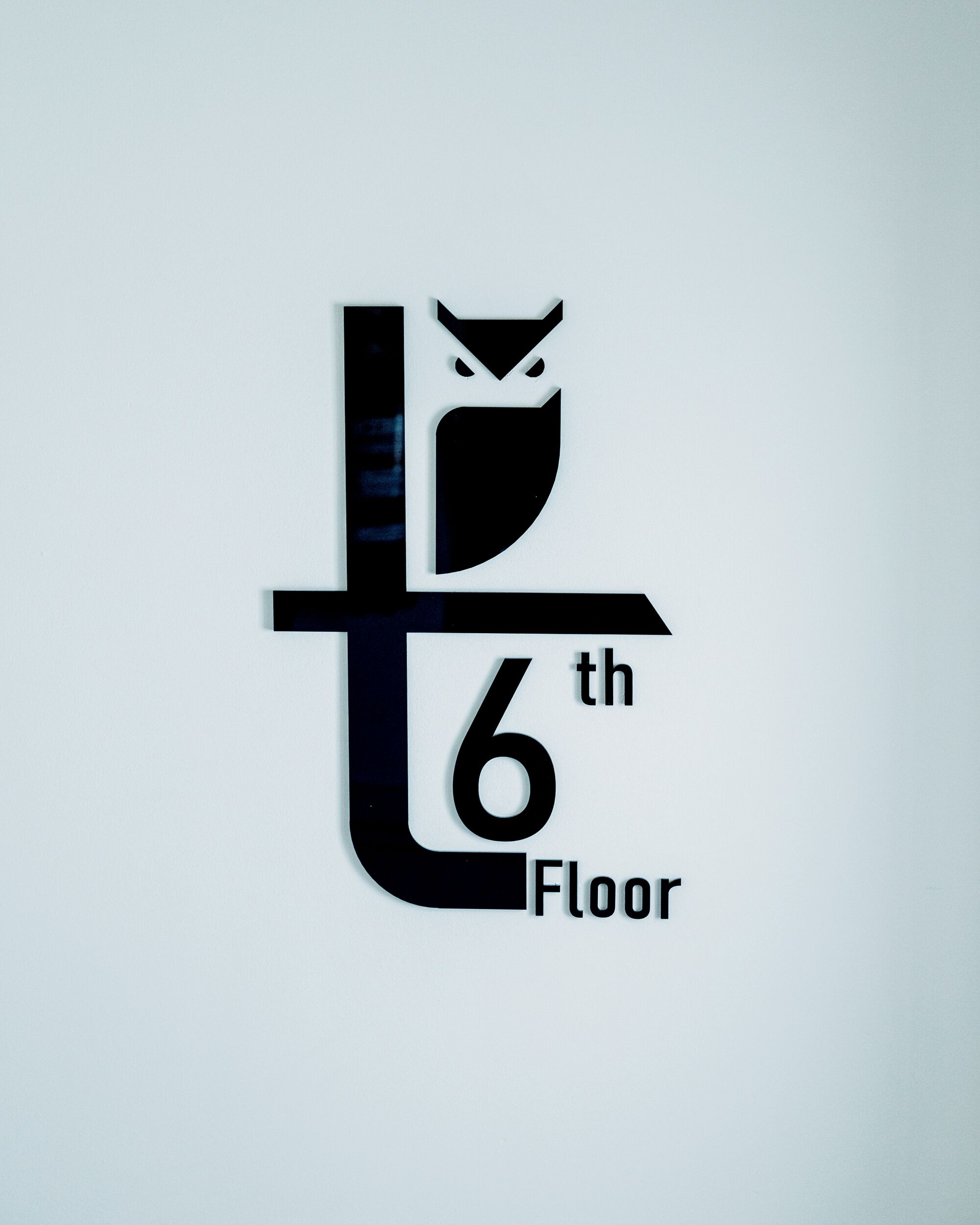 A logo with a stylized 't' and '6th Floor' text, featuring an owl silhouette.