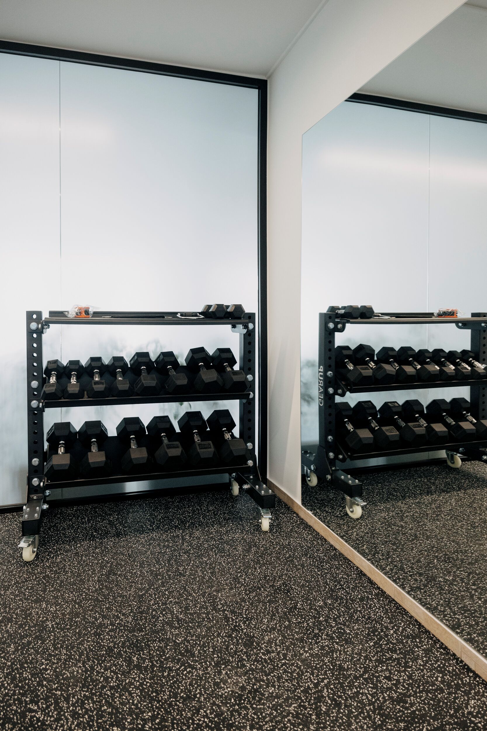 A gym with a mirrored wall and a rack of dumbbells.