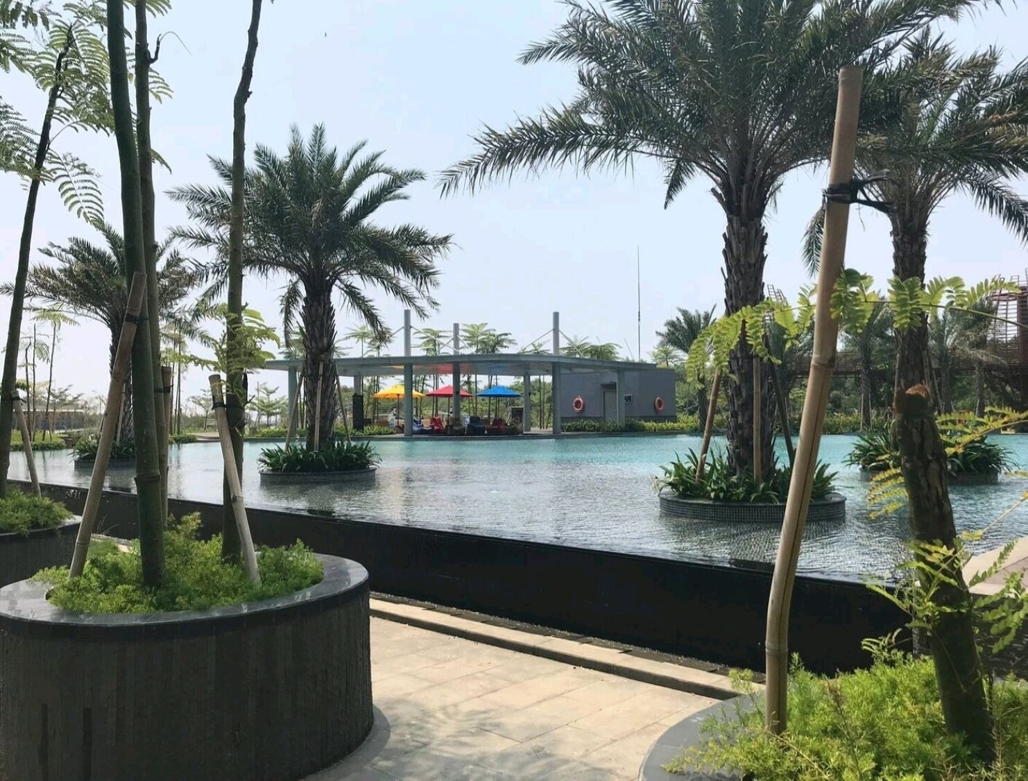 A pool area with palm trees, a covered seating area, and a building in the background.