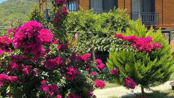 Junior Studio Suite, Bathtub, Sea View | Balcony
