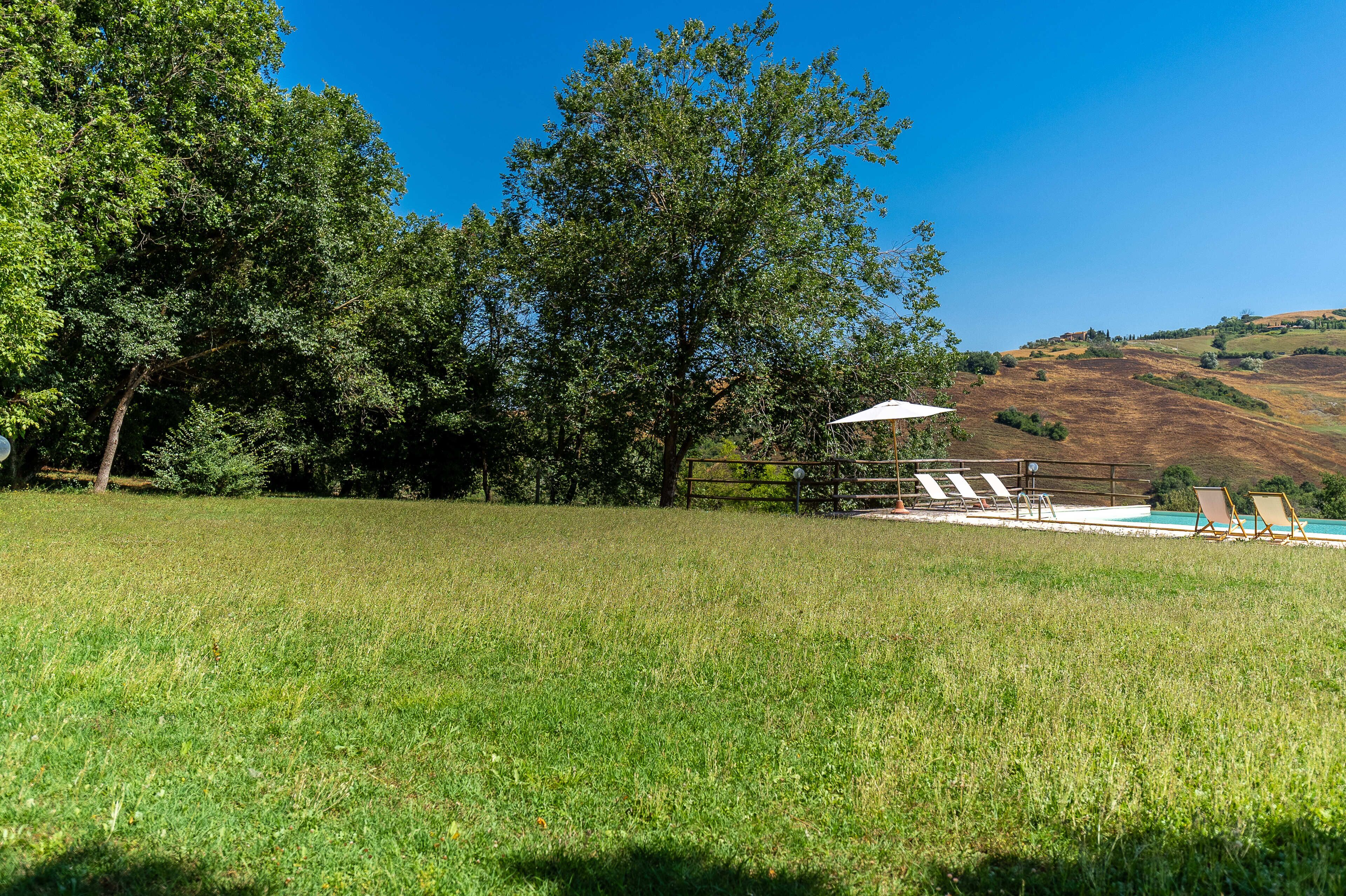 A grassy field with a pool and lounge chairs, surrounded by trees and hills.