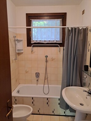 Hair dryer, bidet, towels, soap