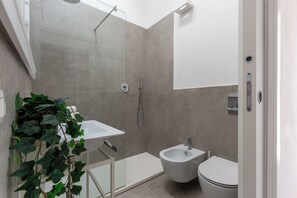 Shower, hair dryer, bidet, towels