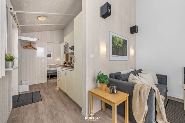 تلفزيون، مدفأة، مشغل دي في دي، ستيريو